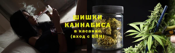 spice Аркадак