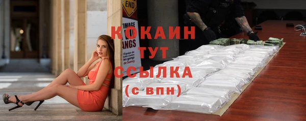 spice Аркадак