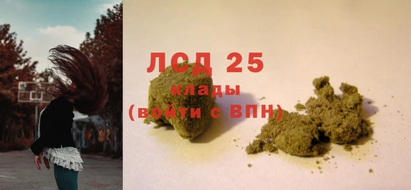 spice Аркадак