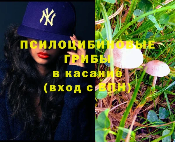 spice Аркадак