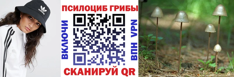 Галлюциногенные грибы прущие грибы  Малгобек 